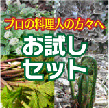 お試しセット