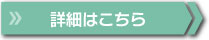 詳細