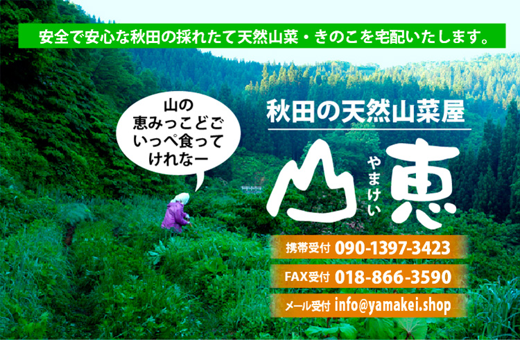 秋田の天然山菜屋・山恵